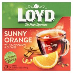 Loyd Hot tea Narancs -Fahéj 20*2g