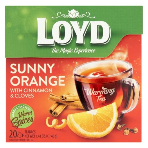 Loyd Hot tea Narancs -Fahéj 20*2g